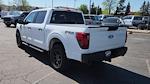2025 Ford F-150 SuperCrew Cab 4WD Pickup for sale #SFB13228 - photo 6