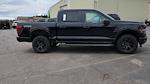 New 2025 Ford F-150 STX SuperCrew Cab 4WD Pickup for sale #SFB14815 - photo 10