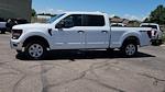 2025 Ford F-150 SuperCrew Cab 4WD Pickup for sale #SFB40520 - photo 4