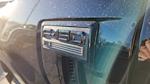 2025 Ford F-150 SuperCrew Cab 4WD Pickup for sale #SFC35285 - photo 14