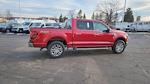 2025 Ford F-150 SuperCrew Cab 4WD Pickup for sale #SFC38430 - photo 14