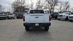 New 2025 Ford F-150 Tremor SuperCrew Cab for sale #SFC39764 - photo 3