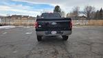 2025 Ford F-150 SuperCrew Cab 4WD Pickup for sale #SFC55057 - photo 3