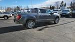 2025 Ford F-150 SuperCrew Cab 4WD Pickup for sale #SFC56541 - photo 15