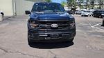 2025 Ford F-150 SuperCrew Cab 4WD Pickup for sale #SKD99302 - photo 14