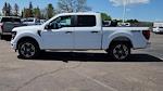 2025 Ford F-150 SuperCrew Cab 4WD Pickup for sale #SKE30133 - photo 5