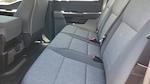 2025 Ford F-150 SuperCrew Cab 4WD Pickup for sale #SKE30461 - photo 23