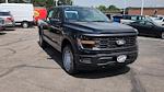 2025 Ford F-150 SuperCrew Cab 4WD Pickup for sale #SKE31776 - photo 12