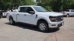 2025 Ford F-150 SuperCrew Cab 4WD Pickup for sale #SKE40684 - photo 11
