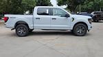 2025 Ford F-150 SuperCrew Cab 4WD Pickup for sale #SKE60725 - photo 9