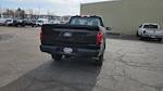 2026 Ford F-150 Regular Cab 4WD Pickup for sale #TKD53295 - photo 17