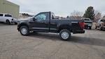 2026 Ford F-150 Regular Cab 4WD Pickup for sale #TKD53295 - photo 11