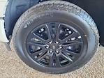 2025 Ford F-150 SuperCrew Cab 4x4 Pickup for sale #B05961 - photo 44
