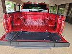2025 Ford F-150 SuperCrew Cab 4x4 Pickup for sale #B12753 - photo 38
