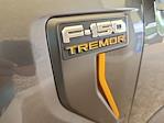 2025 Ford F-150 SuperCrew Cab 4x4 Pickup for sale #B27077 - photo 40