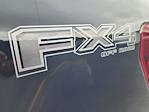 New 2025 Ford F-150 XLT SuperCrew Cab 4x4 Pickup for sale #B44602 - photo 37