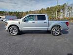 2025 Ford F-150 SuperCrew Cab 4x4 Pickup for sale #D14279 - photo 3