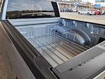 2025 Ford F-150 SuperCrew Cab 4x4 Pickup for sale #D14279 - photo 31