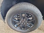 2025 Ford F-150 SuperCrew Cab 4x4 Pickup for sale #D35730 - photo 33