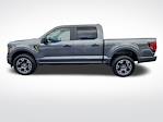2025 Ford F-150 SuperCrew Cab 4x4 Pickup for sale #D66282 - photo 3