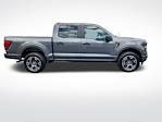 2025 Ford F-150 SuperCrew Cab 4x4 Pickup for sale #D66282 - photo 6