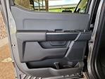2025 Ford F-150 SuperCrew Cab 4x4 Pickup for sale #D66282 - photo 27