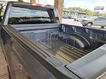 2025 Ford F-150 SuperCrew Cab 4x4 Pickup for sale #D66282 - photo 31