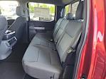 2025 Ford F-150 SuperCrew Cab 4x4 Pickup for sale #E01157 - photo 30