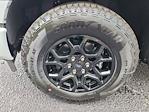 2025 Ford F-150 SuperCrew Cab 4x4 Pickup for sale #E09640 - photo 37