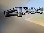 2025 Ford F-150 SuperCrew Cab 4x4 Pickup for sale #E18554 - photo 32