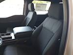 New 2025 Ford F-150 STX SuperCrew Cab Pickup for sale #E39027 - photo 15