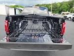 2025 Ford F-150 SuperCrew Cab 4x4 Pickup for sale #E43850 - photo 30