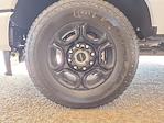 2024 Ford F-250 Crew Cab 4x4 Pickup for sale #F30816 - photo 8