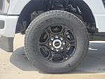 New 2024 Ford F-250 XL Crew Cab 4WD Pickup for sale #REF91269 - photo 10