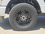 New 2024 Ford F-250 XL Crew Cab 4WD Pickup for sale #REG00687 - photo 10