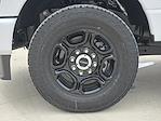 2024 Ford F-250 Crew Cab 4WD Pickup for sale #REG01032 - photo 10