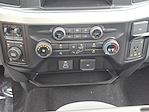 2024 Ford F-250 Crew Cab 4WD Pickup for sale #REG01032 - photo 16