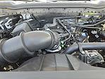 New 2025 Ford F-350 XL Crew Cab 4WD SRW Pickup for sale #SED18894 - photo 19