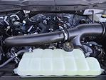 2025 Ford F-150 SuperCrew Cab 4WD Pickup for sale #SFA01012 - photo 22