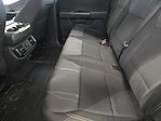 New 2025 Ford F-150 STX SuperCrew Cab Pickup for sale #SFD09553 - photo 19