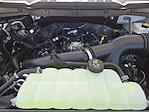 New 2025 Ford F-150 STX SuperCrew Cab Pickup for sale #SKE02704 - photo 22