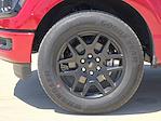 New 2025 Ford F-150 STX SuperCrew Cab Pickup for sale #SKE22291 - photo 8