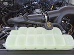 New 2025 Ford F-150 STX SuperCrew Cab Pickup for sale #SKE22291 - photo 21