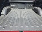 New 2025 Ford F-150 STX SuperCrew Cab Pickup for sale #SKE22291 - photo 22