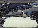 New 2025 Ford F-150 STX SuperCrew Cab Pickup for sale #SKE39126 - photo 21