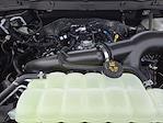 2025 Ford F-150 SuperCrew Cab RWD Pickup for sale #SKE42736 - photo 19