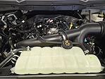 New 2025 Ford F-150 STX SuperCrew Cab 4WD Pickup for sale #SKE58307 - photo 22