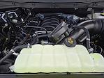 New 2025 Ford F-150 STX SuperCrew Cab 4WD Pickup for sale #SKE75261 - photo 22