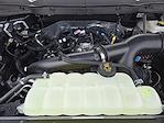 New 2025 Ford F-150 XLT SuperCrew Cab Pickup for sale #SKE91177 - photo 22