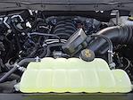 2025 Ford F-150 SuperCrew Cab 4WD Pickup for sale #SKF14217 - photo 20